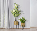 Set 2 Portavasi Ø21x38-19x28 cm in Metallo Nero e Oro-6