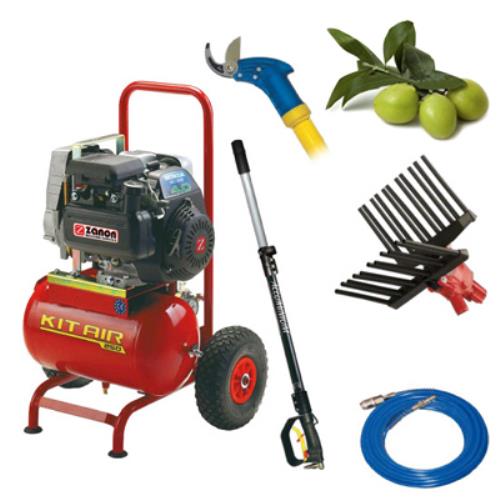 prezzo Kit d'olivier pour la récolte et l'élagage des olives T250 Hobby Zanon Olive Shaker 