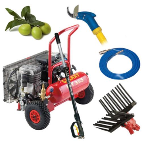 Kit professionnel Zanon T355 pour la récolte et la taille des olives online