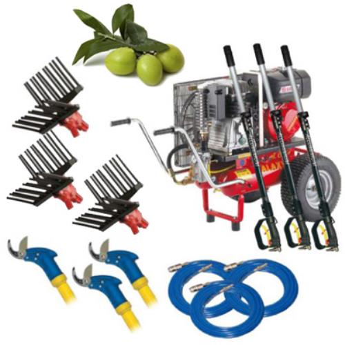 online Zanon T615 Kit triple professionnel pour la récolte et la taille des olives 