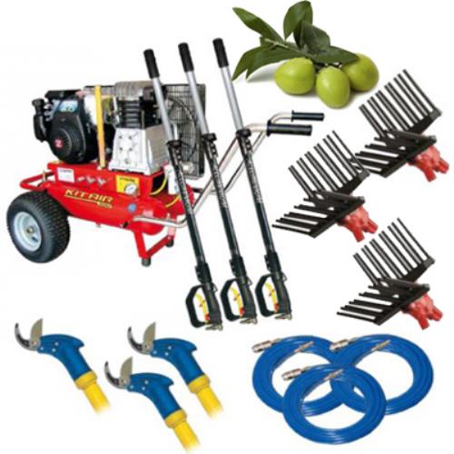 prezzo Zanon T600 Triple Kit professionnel pour la récolte et la taille des olives 