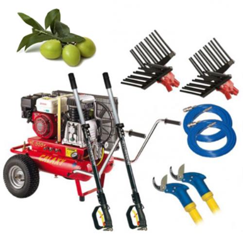 online Zanon T555 Kit essence professionnel pour la récolte et la taille des olives 