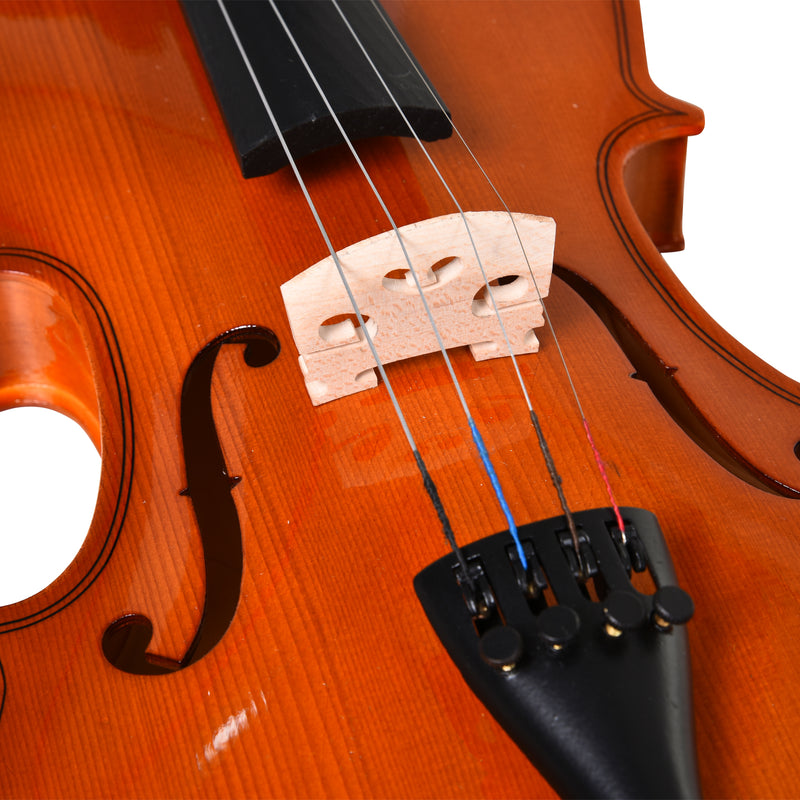 Violino 4/4 per Adulti con Custodia e Accessori  -9