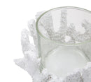 Portacandele Corallo Ø12,5x9 cm in Resina e Vetro Bianco-6