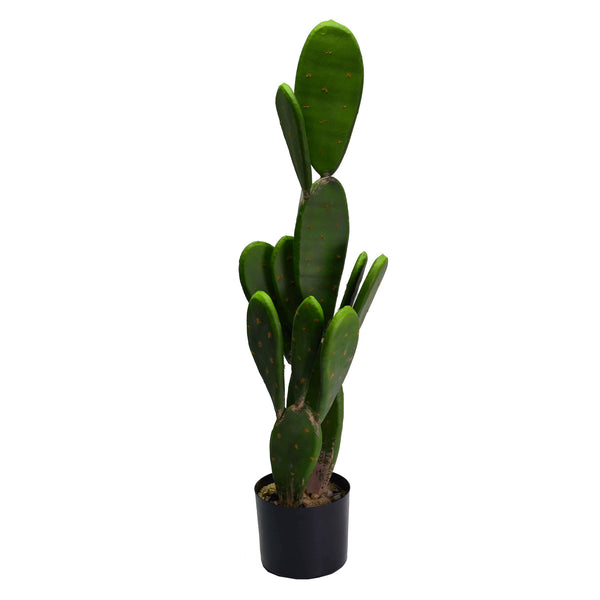 Cactus avec pot rond cm Ø14xh84 prezzo