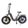 Fat-Bike 36V Vélo Électrique Pliant avec Assistance au Pédalage 20