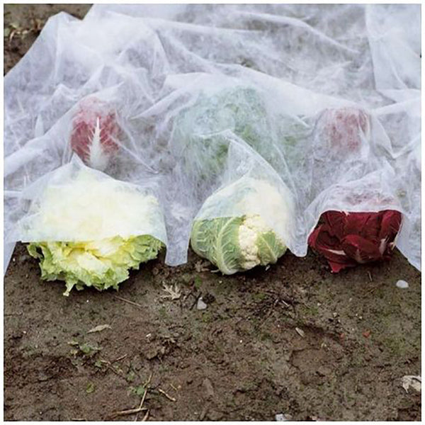 Voile de Protection pour Légumes et Fruits 1,6x2m en Non Tissé Cuivre Blanc acquista