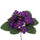 Lot de 6 buissons de violettes artificielles hauteur 21 cm violet