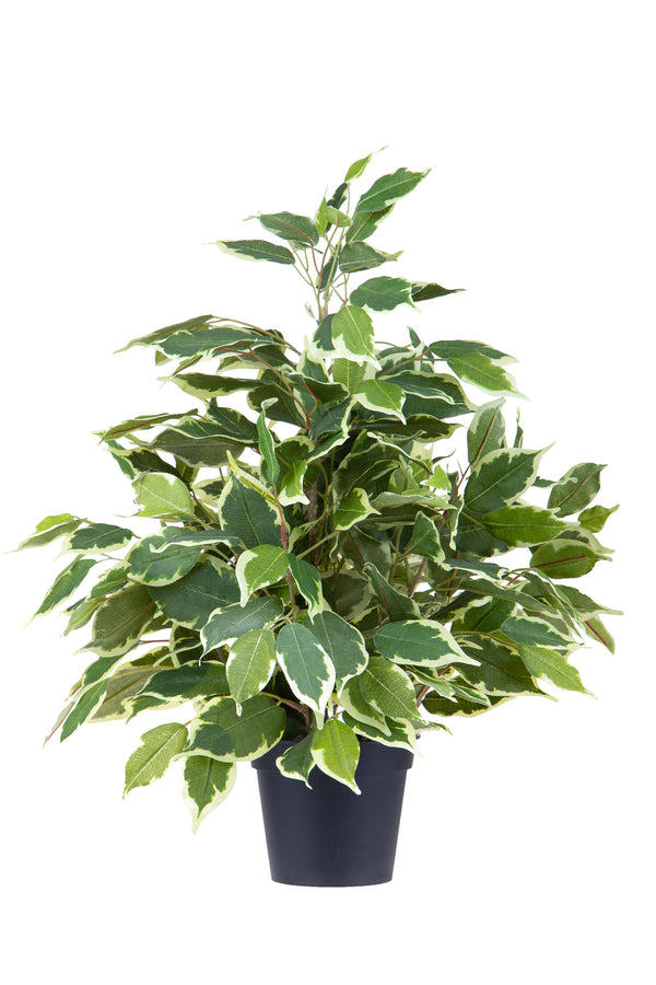 Ficus artificiel avec pot Hauteur 55 cm Vert sconto