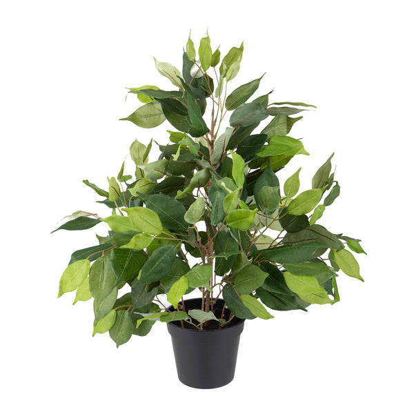 sconto Ficus artificiel avec pot Hauteur 55 cm Vert