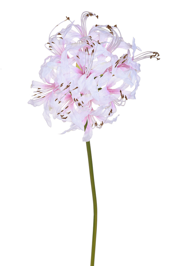 Lot de 12 Fleurs Artificielles Nerina Simples 65 cm Blanc acquista