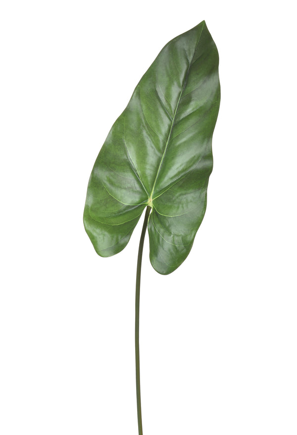 acquista Lot de 6 feuilles de calla artificielles hauteur 79 cm vert