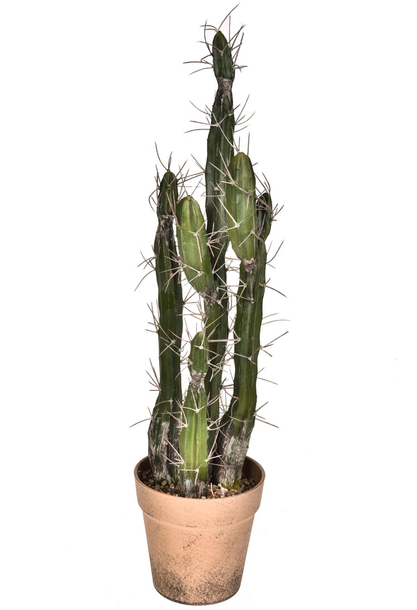 prezzo Cactus Artificiel avec Pot Hauteur 61cm Vert