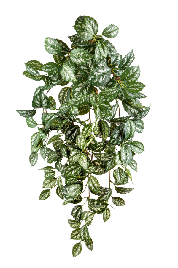 prezzo Plante Artificielle de Pilea Cadierei 9 Branches avec 185 Feuilles Hauteur 79 cm Vert