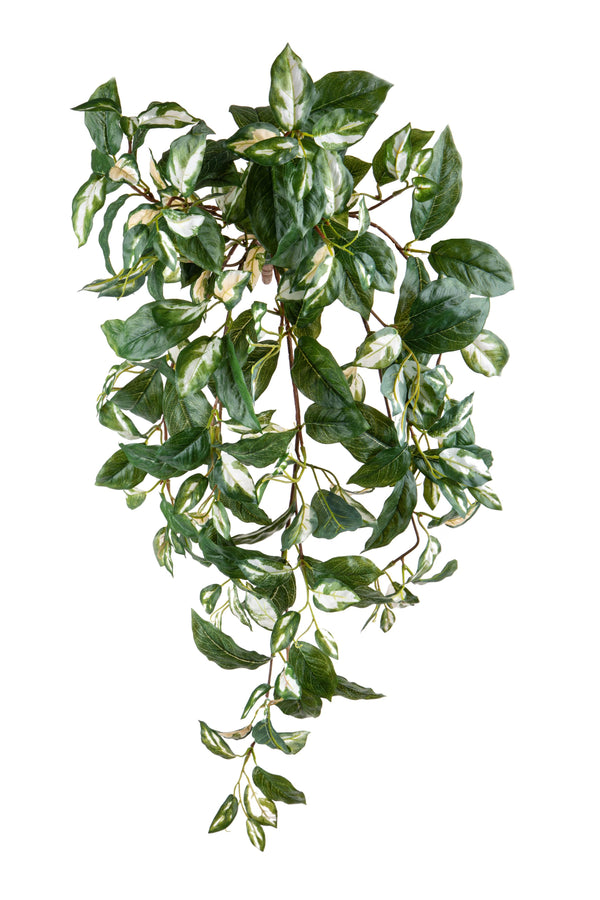 prezzo Buisson Hoya artificiel avec 186 Feuilles 9 Branches Hauteur 71cm Vert