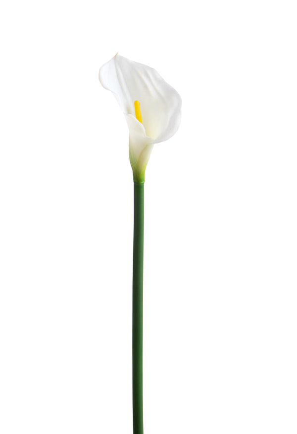 prezzo Lot de 4 fleurs de calla artificielles simples, hauteur 74 cm, blanches