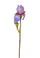 Lot de 3 Iris composé de 2 fleurs artificielles hauteur 85 cm