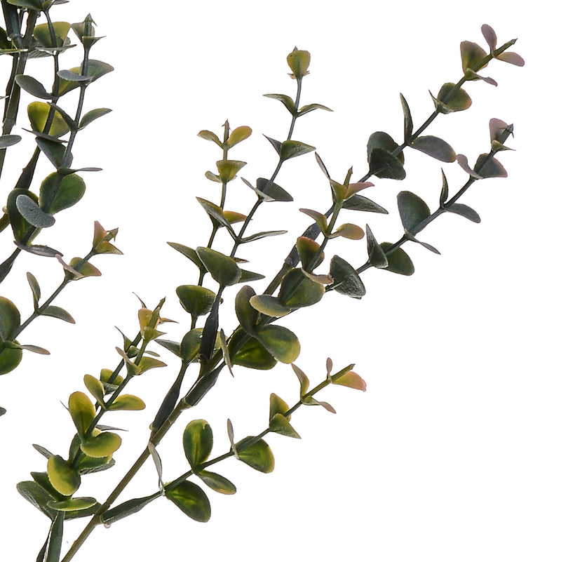 6 Rami di Eucalyptus Artificiale Altezza 75 cm Verde-3