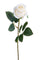 Lot de 12 Roses Artificielles Bourgeon 65 cm Blanc