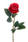 Lot de 12 Roses Artificielles Boccio 65 cm rouge