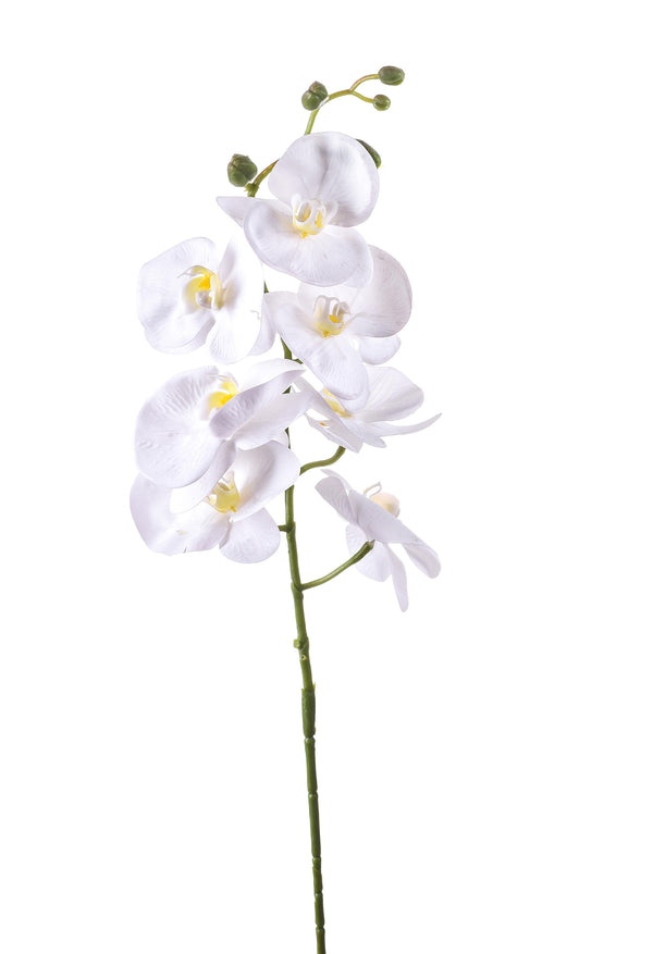 acquista Set 6 Phalaenopsis artificiels avec 7 fleurs Hauteur 96 cm Blanc