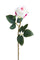 Lot de 12 Roses Artificielles Bourgeon 65 cm Beige