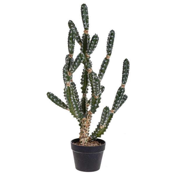Cactus Euphorbe artificiel avec pot Hauteur 84 cm online