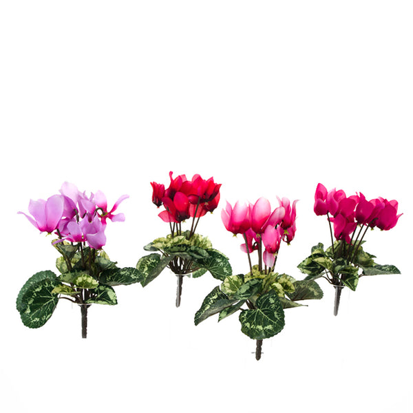 Set 24 Mini Cyclamen Artificiel Composé de 7 Fleurs Hauteur 18 cm Multicolore online
