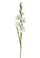 Lot de 8 Mini Glaïeuls Fleurs Artificielles Hauteur 74 cm