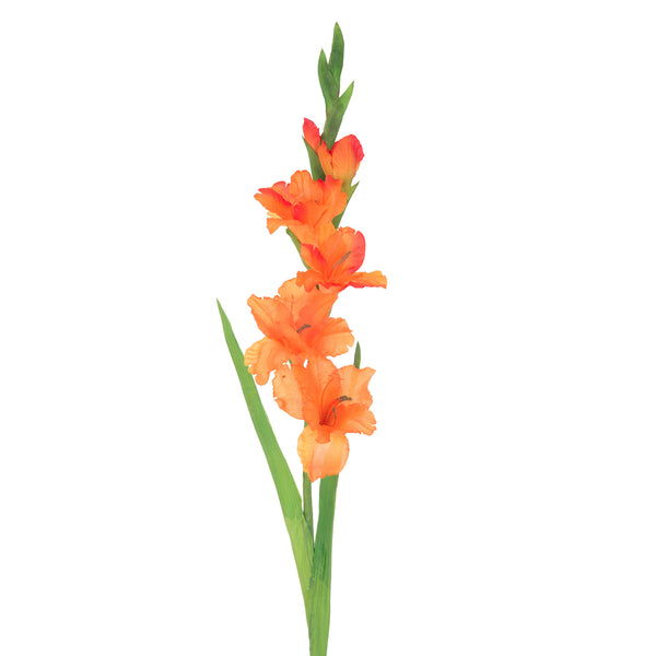 Set 8 Fleurs Artificielles de Glaïeul Mini Hauteur 74 cm Orange prezzo