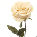 2 Rose Artificiali Calista Altezza 72 cm -3