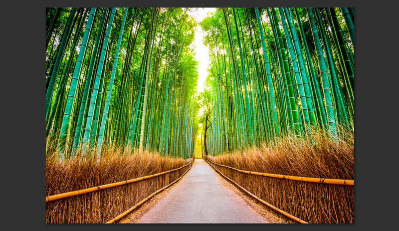 Fotomurale - Bamboo Forest 300X210 cm Carta da Parato Erroi-2