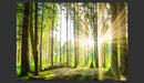 Fotomurale - Forest Tales 300X210 cm Carta da Parato Erroi-2
