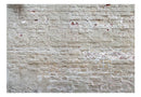 Carta da Parati Fotomurale - Hidden Harmony 100x70 cm Erroi-2