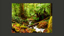 Fotomurale - Foresta Equatoriale 200X154 cm Carta da Parato Erroi-2