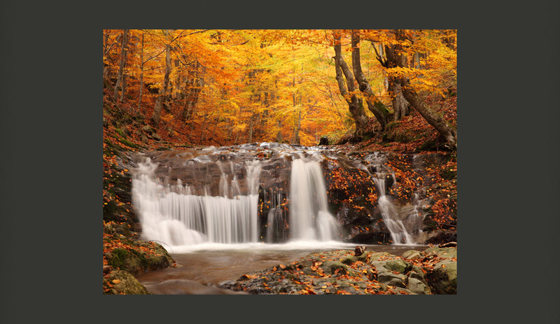 Fotomurale - Autumn Landscape : Waterfall in Forest 200X154 cm Carta da Parato Erroi-2