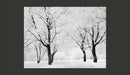 Fotomurale - Alberi - Paesaggio Invernale 200X154 cm Carta da Parato Erroi-2