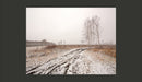 Fotomurale - Winter Field 200X154 cm Carta da Parato Erroi-2
