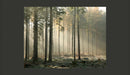 Fotomurale - Foggy November Morning 200X154 cm Carta da Parato Erroi-2