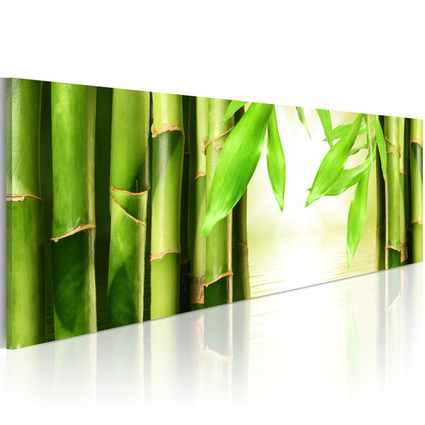 Affiche - Bambou Porte Erroi prezzo