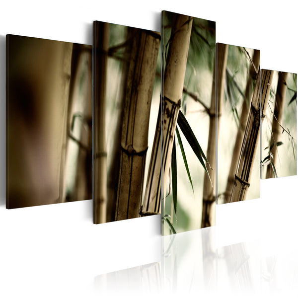 prezzo Affiche - Forêt de bambous d'Erroi asiatique