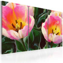 Quadro - Blooming Tulips 60x40cm Erroi-1