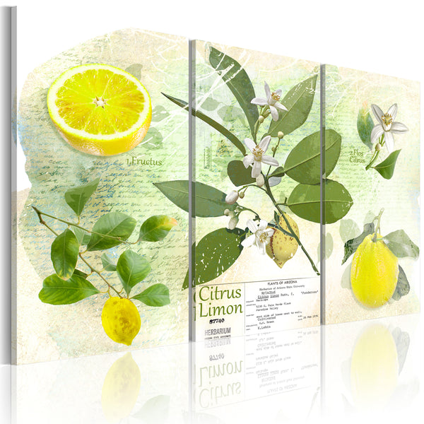 online Affiche - Erroi citron fruit