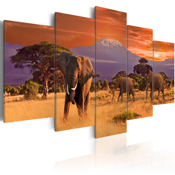 online Affiche - Eléphants d'Afrique Erroi