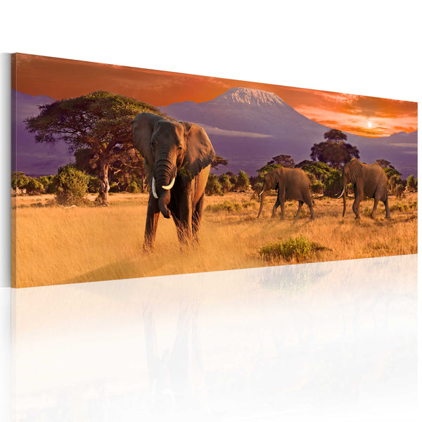 sconto Affiche - La marche des éléphants d'Afrique Erroi