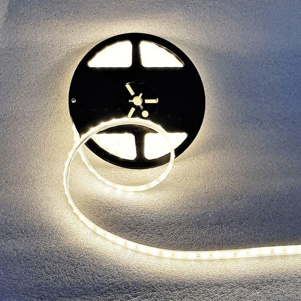 Bande LED pour Bassin de Jardin 5m 12V Lumière Blanche online