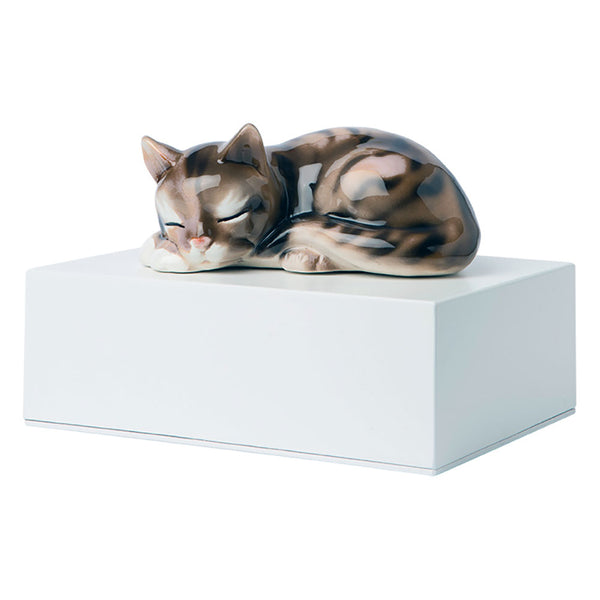 Urne cinéraire en bois avec chat miniature en céramique 10x20x15cm GMF Blanc prezzo