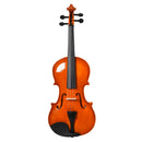 Violino 4/4 per Adulti con Custodia e Accessori  -4