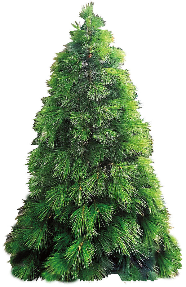 acquista Sapin de Noël Artificiel Vesuvio Lux Vert Différentes Tailles