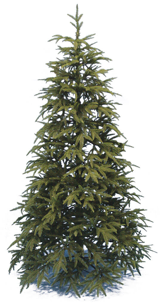 Sapin de Noël Pin Very Tree Vert acquista